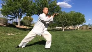Sifu Yuan Demonstration
